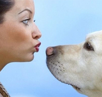 Psy majú rovnaké emócie ako ľudia