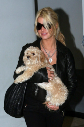 Jessica Simpson a Daisy