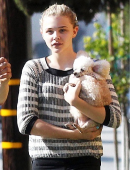 Chloe Moretz a Bella