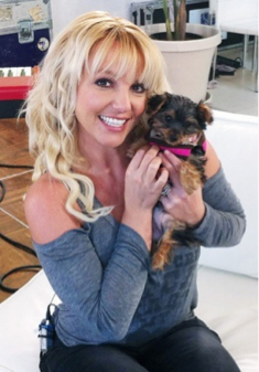 Britney a Hannah Spears